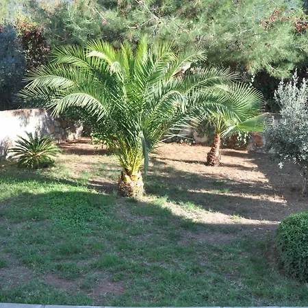 Sunset A Φετιγιέ